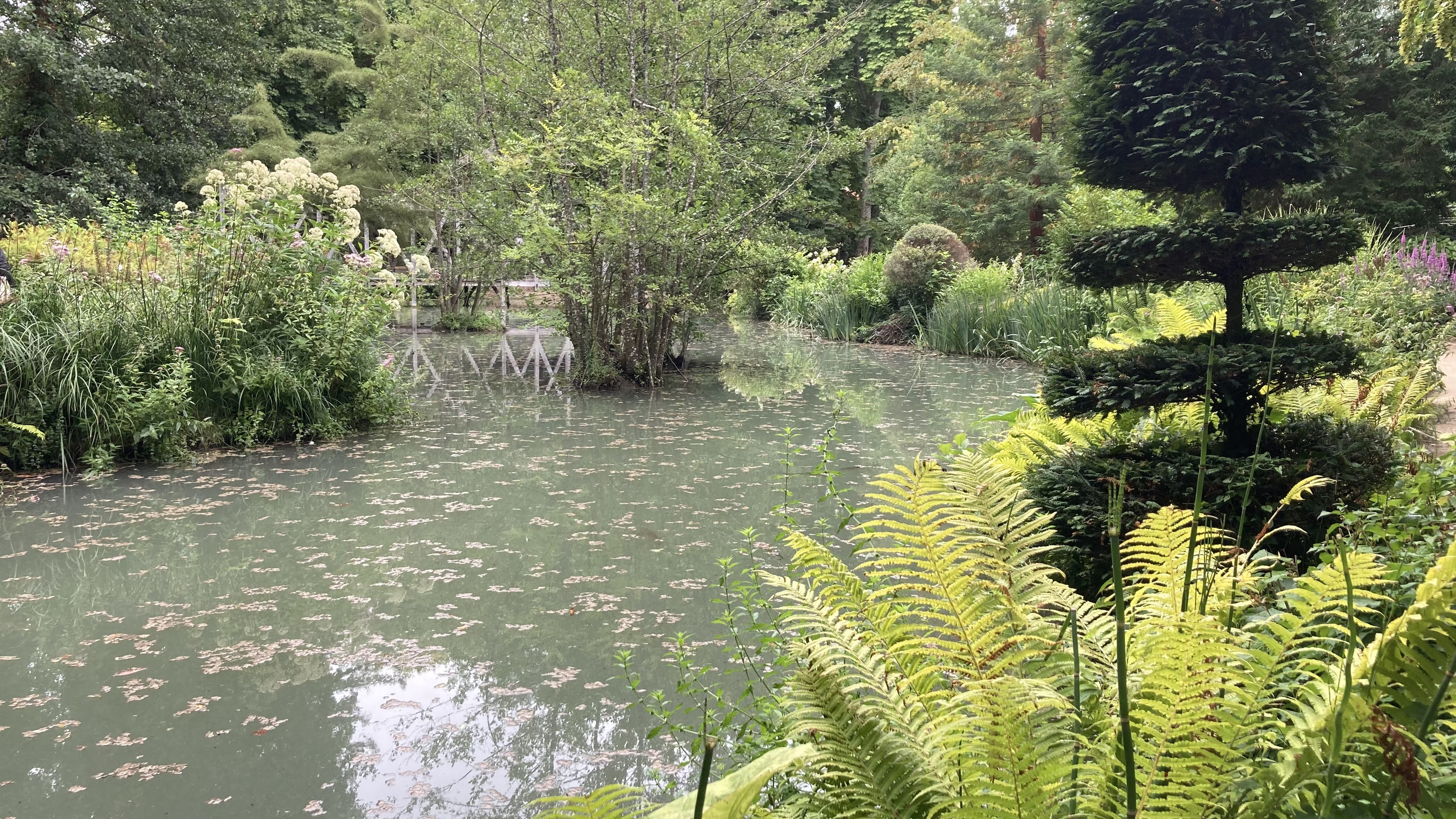 Photo n° 4 de l'avis de Philippe.L fait le 11/08/2023 à 14:37