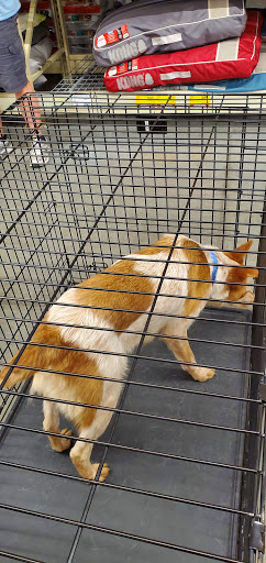 Pet Supply Store «PetSmart», reviews and photos, 10329 S State St, Sandy, UT 84070, USA