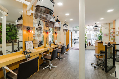 Coiffeur Bio Paris 4 et colorations végétales - Biocoiff' à Paris