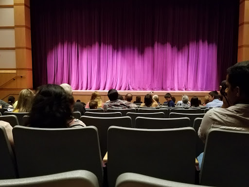 Performing Arts Theater «Medical City Lewisville Grand Theater», reviews and photos, 100 N Charles St, Lewisville, TX 75057, USA