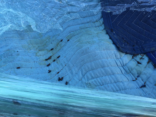 Self-Storage Facility «Life Storage», reviews and photos, 2233 Franklin Dr, Mesquite, TX 75150, USA