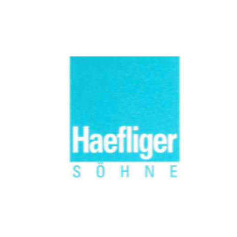 Rezensionen über Haefliger Söhne Sanitär- und Heizungs GmbH in Luzern - Andere