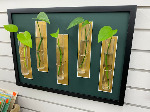 Craft Store «Ben Franklin Crafts and Frame Shop», reviews and photos, 19505 US-2, Monroe, WA 98272, USA