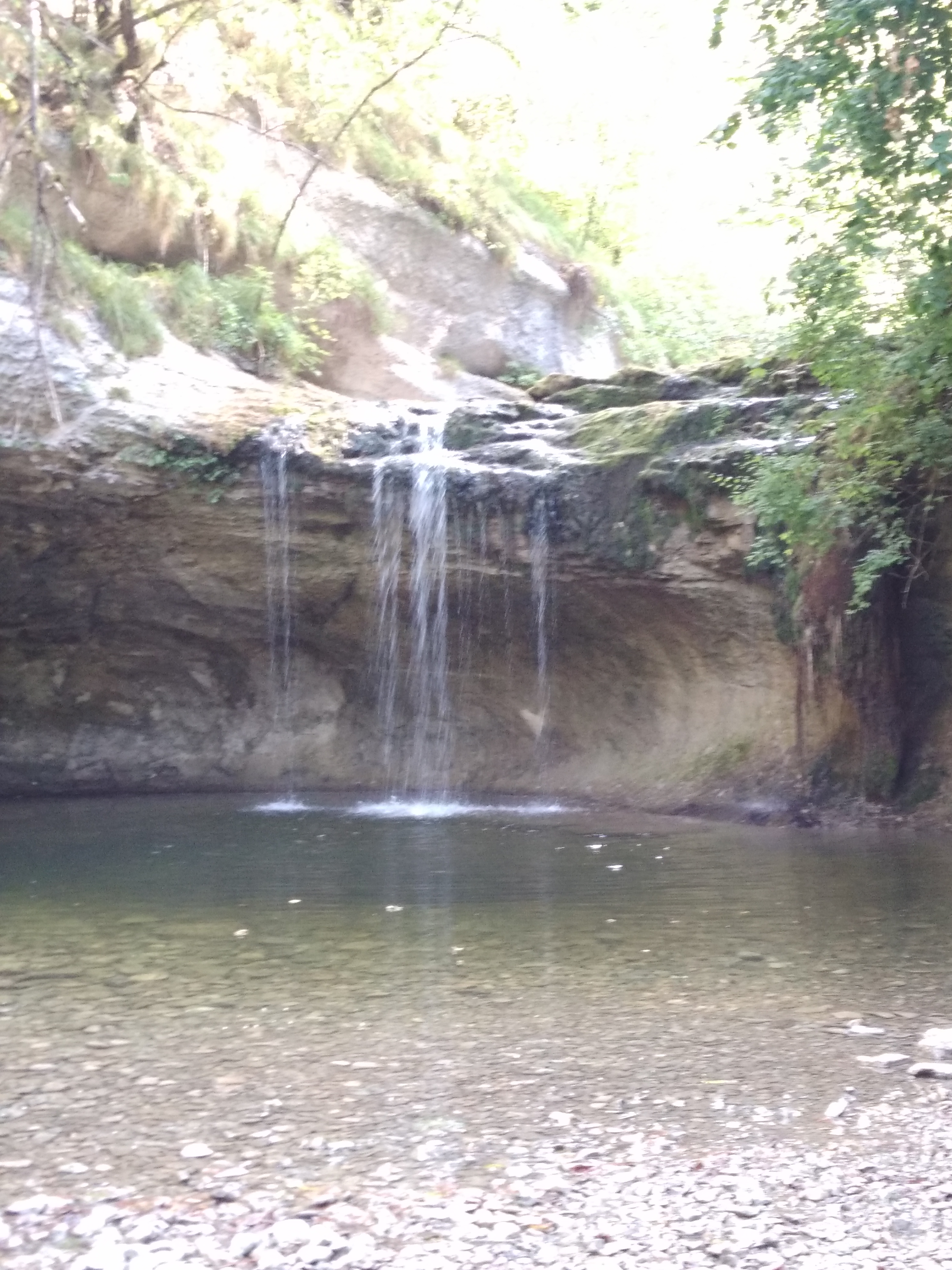 Photo n° 5 de l'avis de bonsaï.a fait le 31/07/2018 à 14:12