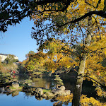 Photo n° 13 de l'avis de Be.e fait le 15/11/2021 à 13:23 pour Parc Oriental de Maulévrier à Maulevrier