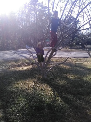 Golf Course «Witch Golf Links», reviews and photos, 1900 SC-544, Conway, SC 29526, USA