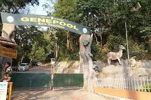Nadugani Gene Pool Garden, Tamilnadu Forest Dept. image