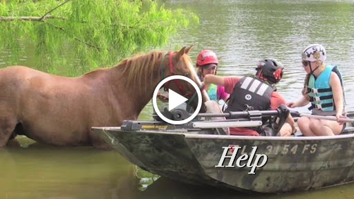 Farm Equipment Supplier «Lock Stock & Barrel», reviews and photos, 770 Amity Rd, Bethany, CT 06524, USA