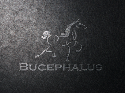 Bucephalus Development, LC