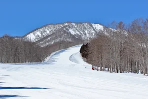Matsurube Snowland image