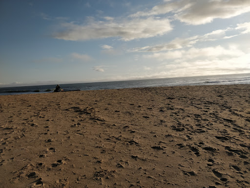 Public Beach «Four Mile Beach», reviews and photos, 3810 Coast Rd, Santa Cruz, CA 95060, USA