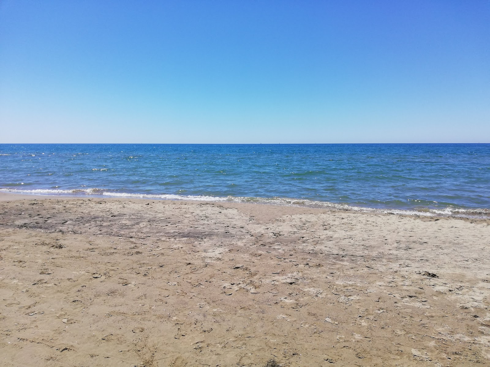 Photo de Spiaggia Marina di Ardea avec rivage droit, long