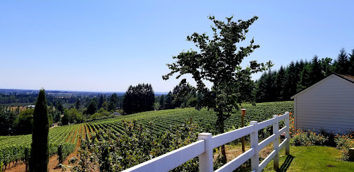 Winery «Bergström Winery & Tasting Room», reviews and photos, 18215 NE Calkins Ln, Newberg, OR 97132, USA