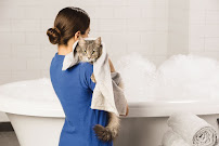 PetSmart Grooming - Photo 3 - Car repair in Cerritos, CA, Fullerton