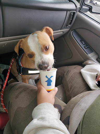 Coffee Shop «Dutch Bros Coffee», reviews and photos, 8552 Madison Ave, Fair Oaks, CA 95628, USA