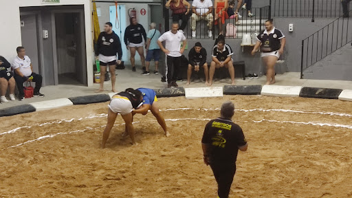 Terrero de Lucha de Lomo Cementerio en Telde, Las Palmas