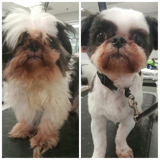 Pet Supply Store «Petco Animal Supplies», reviews and photos, 6672 Lonetree Blvd, Rocklin, CA 95765, USA