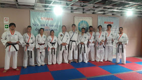 Casa Central TaeKwonDo Mistico Hangil