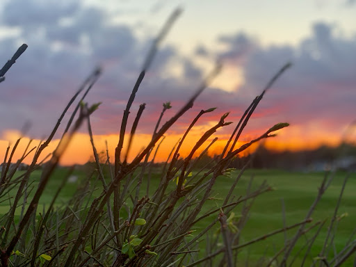 Golf Club «Grey Hawk Golf Club», reviews and photos, 665 US Grant St, Lagrange, OH 44050, USA