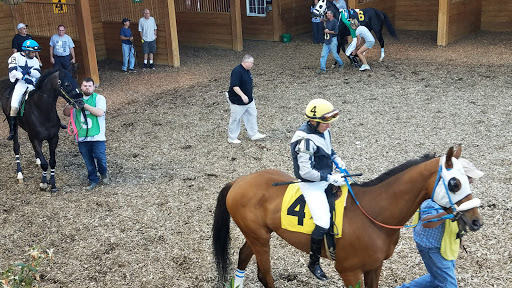 Casino «Hollywood Casino at Charles Town Races», reviews and photos, 580 E 5th Ave, Ranson, WV 25438, USA