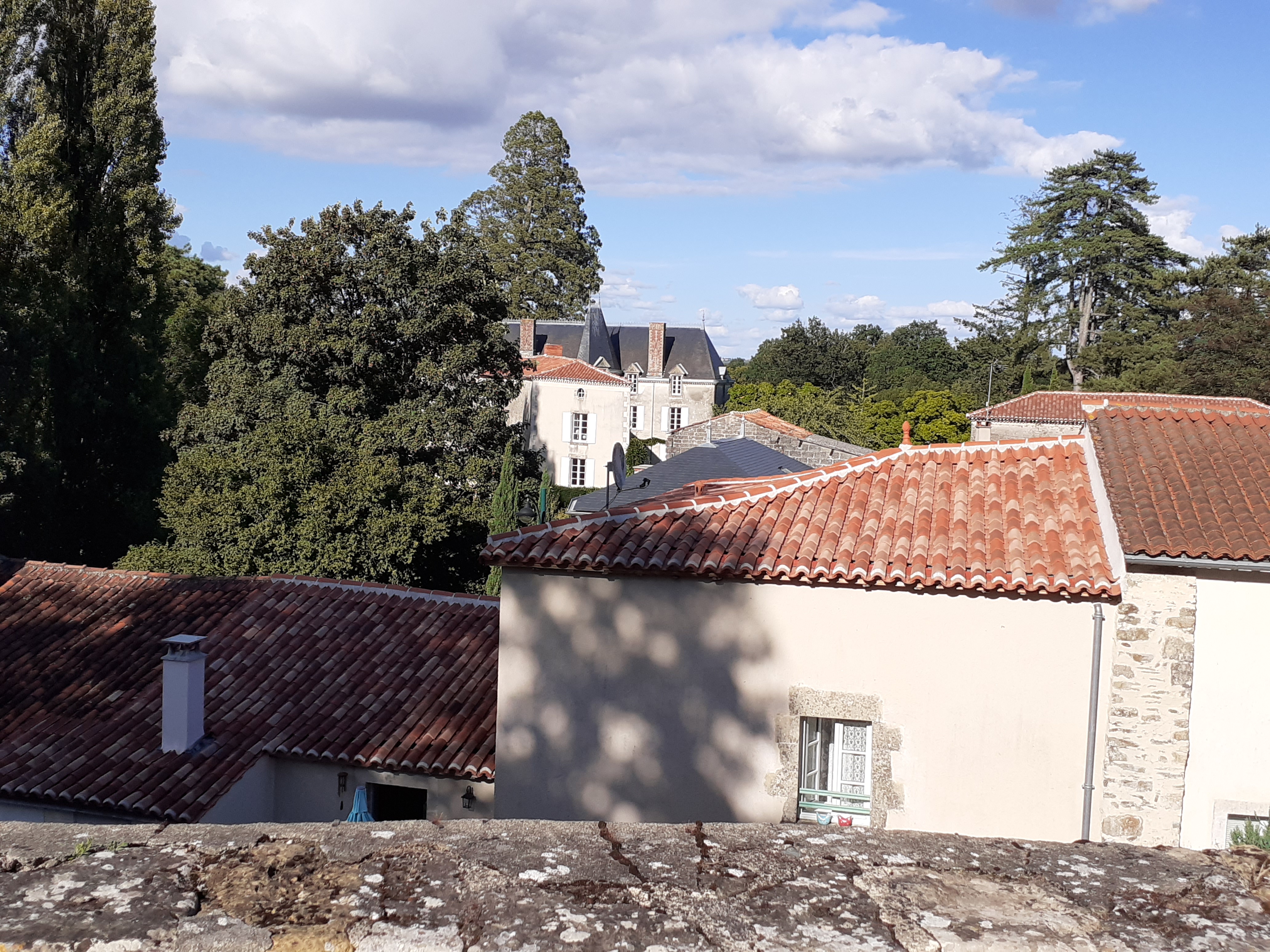 Photo n° 17 de l'avis de Gilles.a fait le 23/08/2020 à 22:04