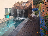 Smart Landscape - Photo 8 - Car repair in San Diego, CA, San Diego