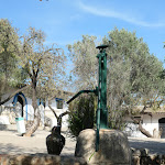 Photo n°1 de l'avis de Elisabeth. fait le 12/10/2023 à 21:00 sur le  Restaurante Chico Zé à Faro