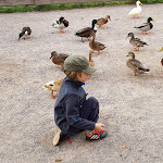 Photo n°1 de l'avis de Thomas.� fait le 23/11/2018 à 19:25 sur le  fisch-hofladen.de - cress Park Erfurt à Erfurt