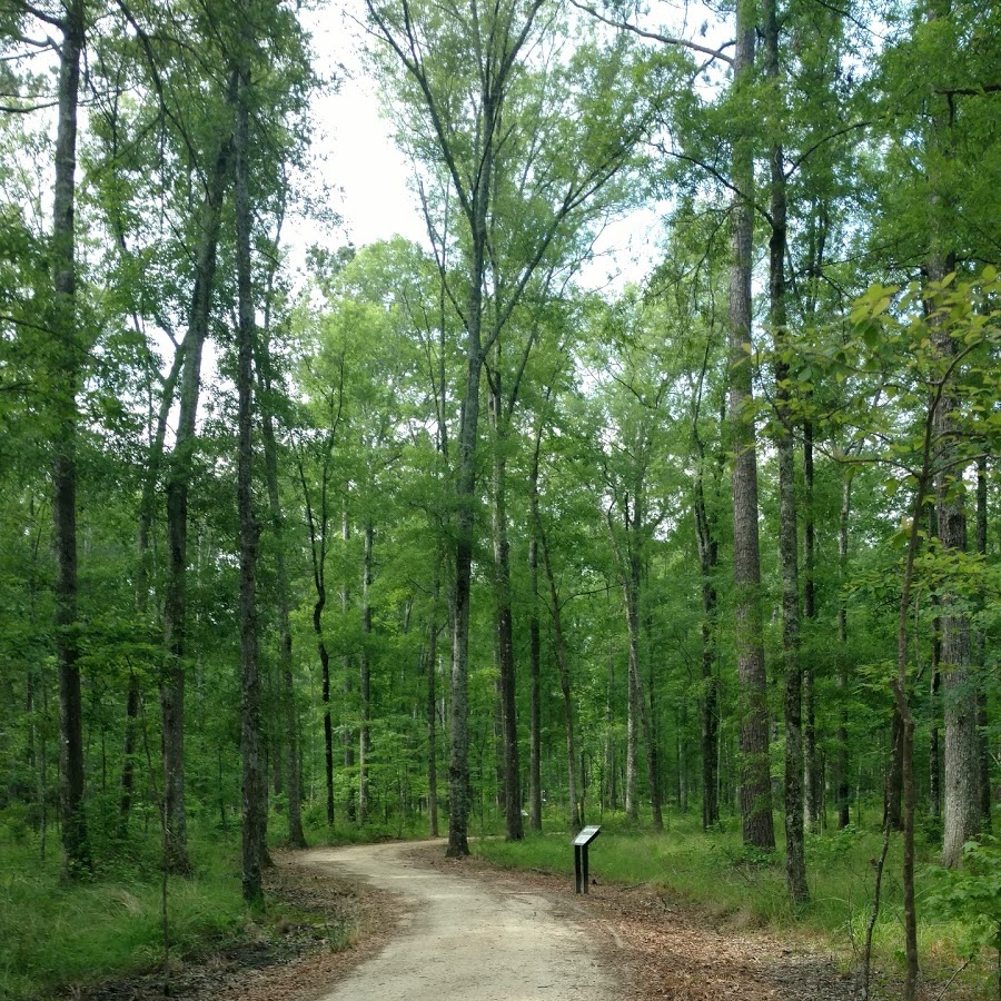 Northeast Mississippi Nature and Interpretive Trail