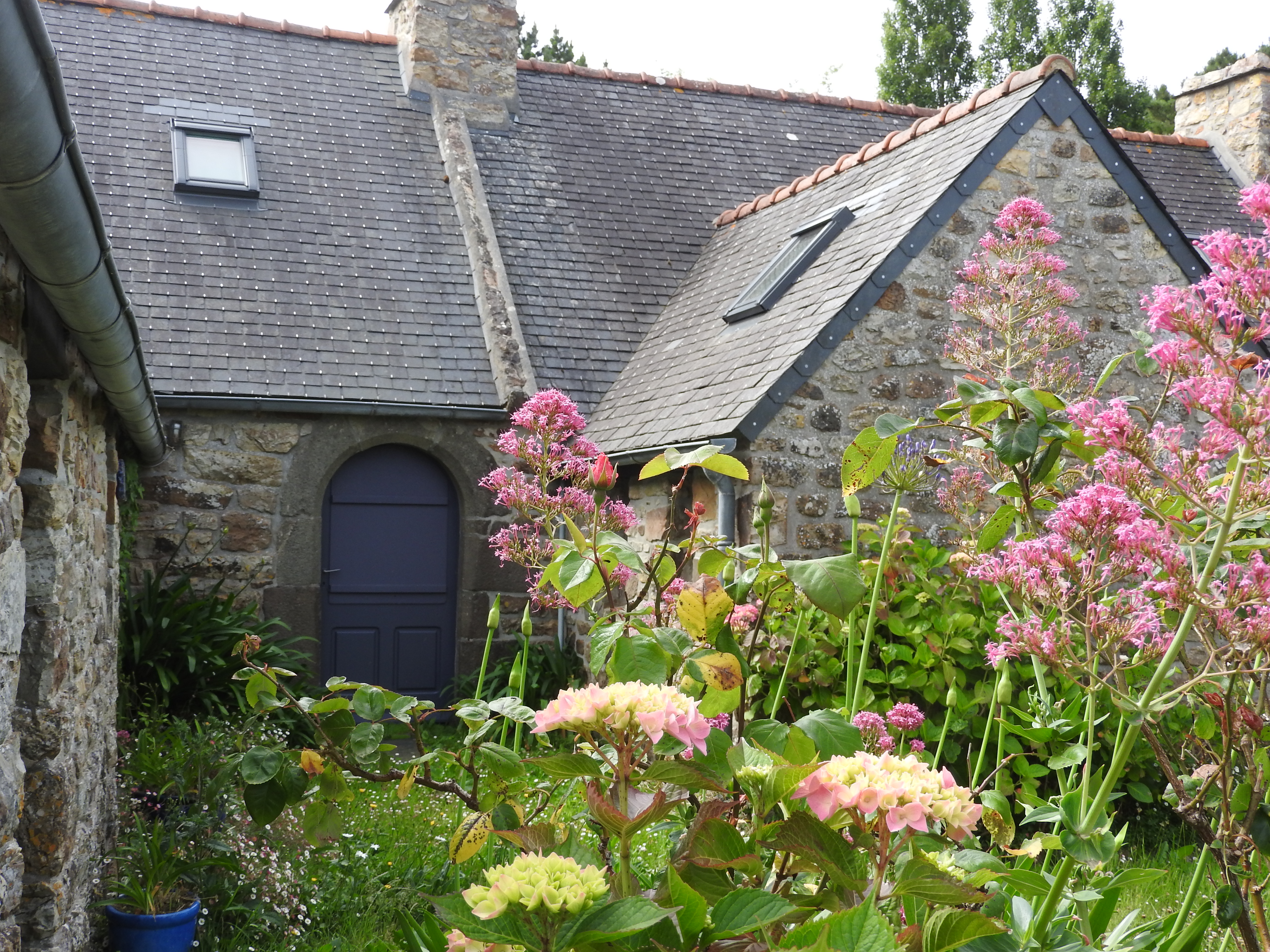 Photo n° 6 de l'avis de Claude.o fait le 28/07/2022 à 11:27