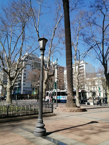 Opiniones de Plaza Cagancha en Ciudad del Plata - Museo