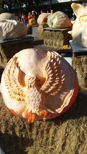 Pet Supply Store «Petco Animal Supplies», reviews and photos, 675 Deis Dr i, Fairfield, OH 45014, USA