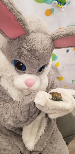 Pet Store «PetSmart», reviews and photos, 17150 Ventura Blvd, Encino, CA 91316, USA