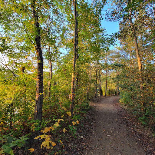 State Park «Parvin State Park», reviews and photos, 701 Almond Rd, Pittsgrove Township, NJ 08318, USA