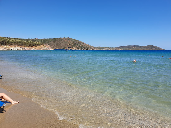 Straws beach
