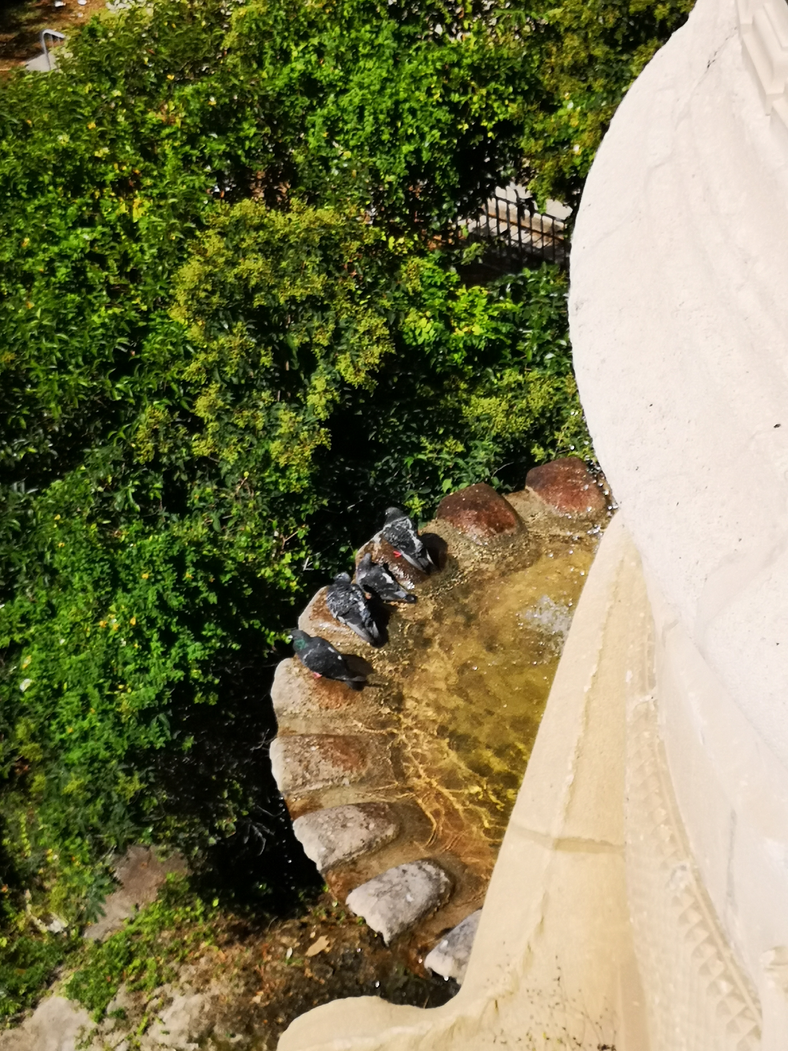 Photo n° 7 de l'avis de Adrien.. fait le 02/09/2020 à 18:00