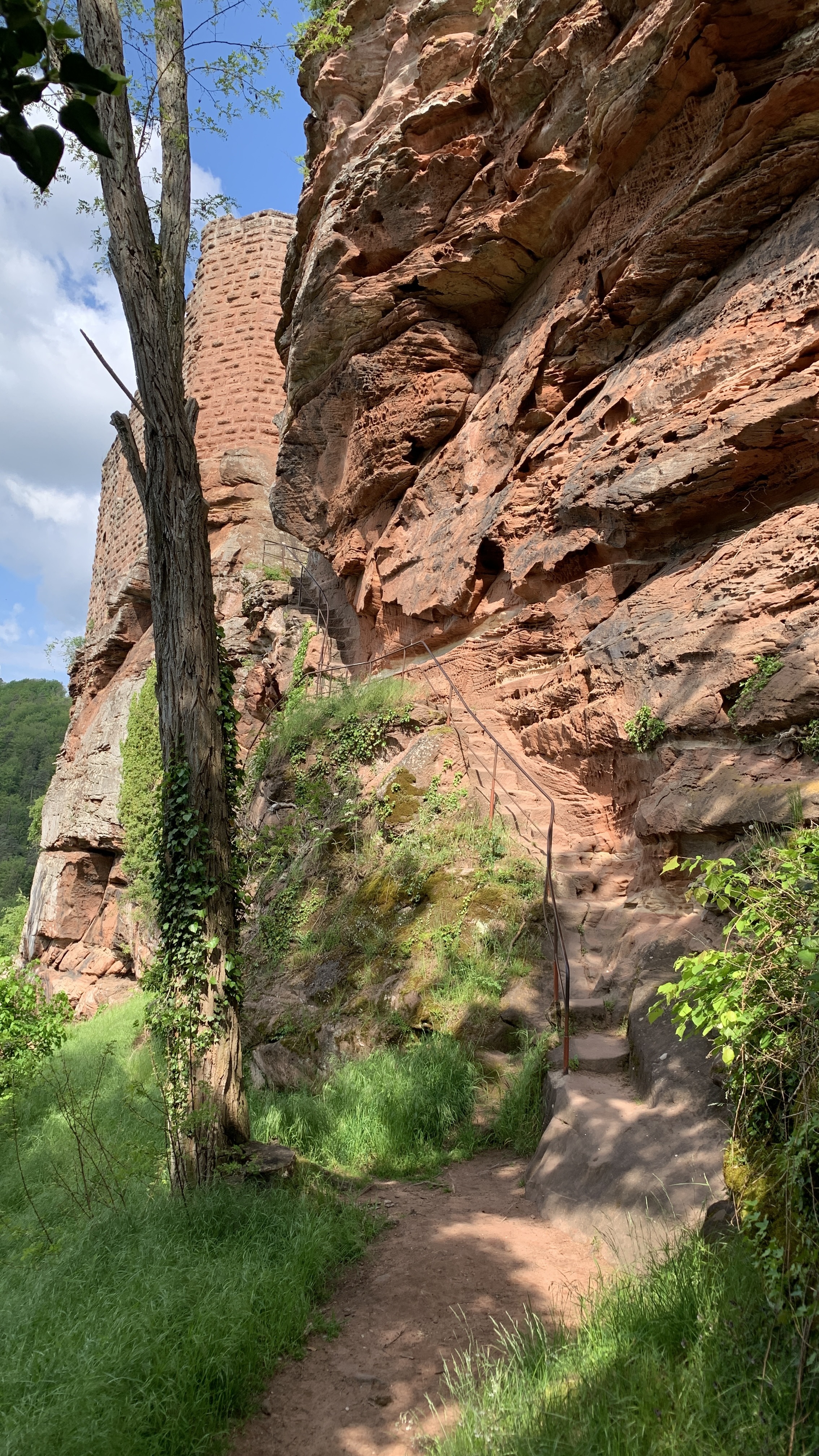 Photo n° 2 de l'avis de Klapphorn. fait le 17/05/2023 à 11:06