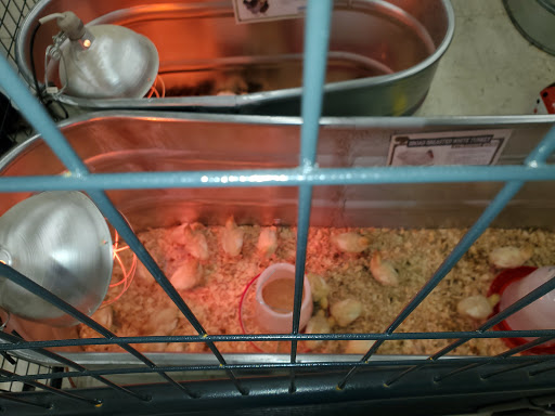 Home Improvement Store «Tractor Supply Co.», reviews and photos, 398 NJ-57, Washington, NJ 07882, USA