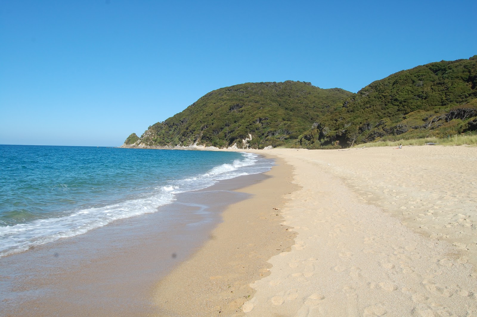 Fotografie cu Anapai Beach zonă sălbatică