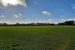 New Milton Rugby Football Club image