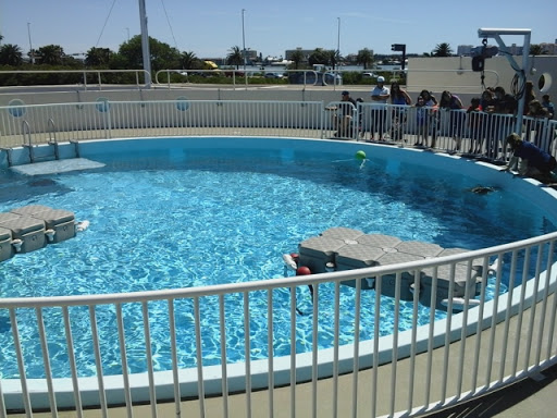 Golf Course «Largo Golf Course», reviews and photos, 12500 Vonn Rd, Largo, FL 33774, USA