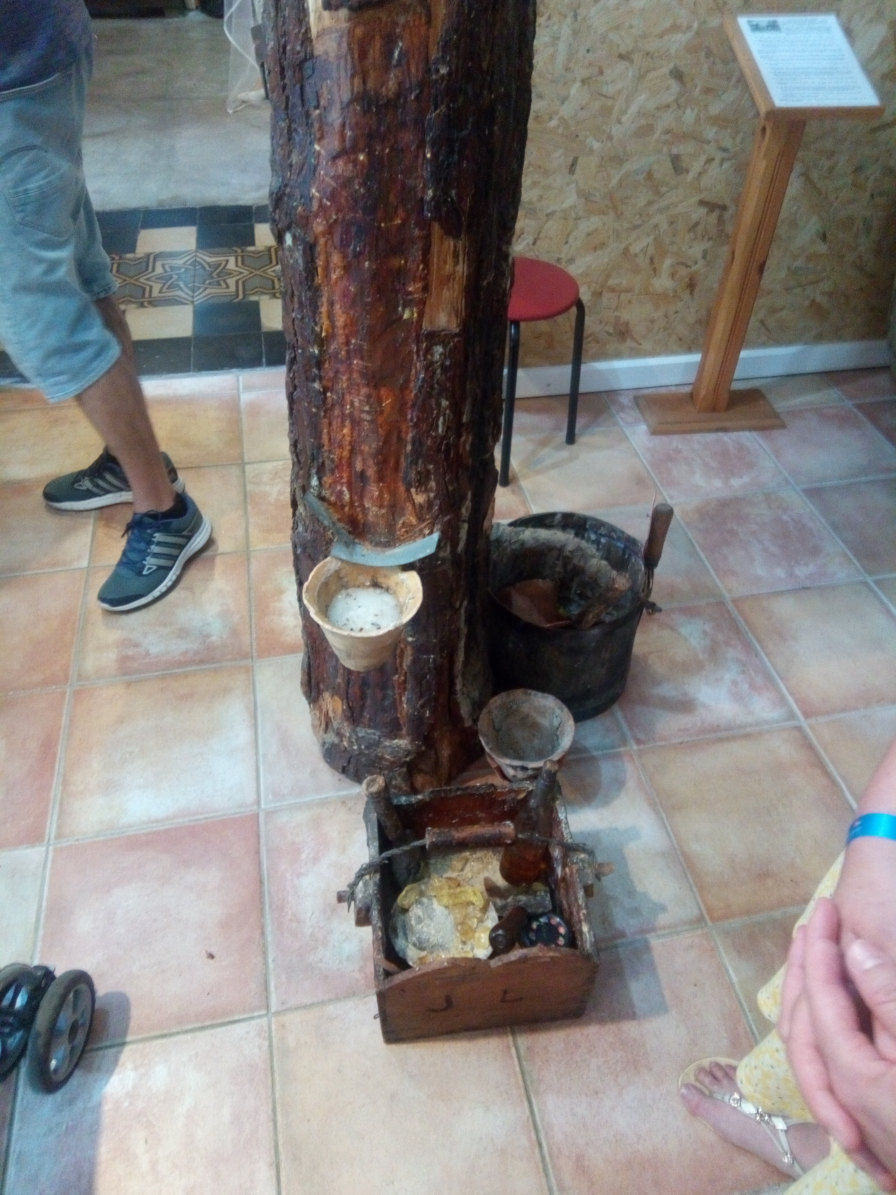Photo n° 4 de l'avis de Cindy.i fait le 07/07/2018 à 16:20