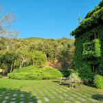 Photo n°3 de l'avis de Armando.e fait le 04/08/2021 à 06:59 sur le  L'Agnata di De André à Tempio Pausania