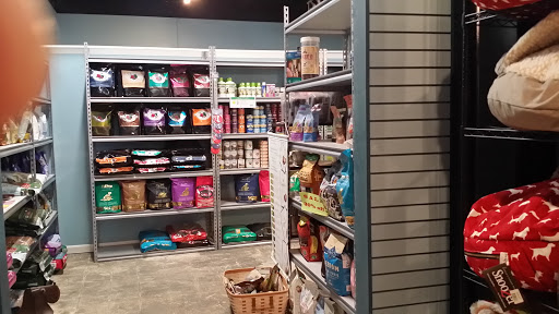 Pet Supply Store «Dog-Mania & Cats», reviews and photos, 37846 Meridian Ave, Dade City, FL 33525, USA