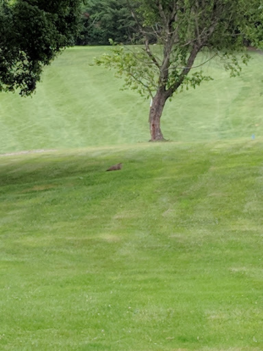 Golf Course «Gunpowder Golf Course», reviews and photos, 14300 Old Gunpowder Rd, Laurel, MD 20707, USA