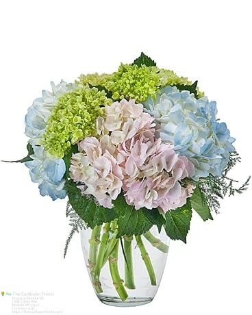 Florist «The Sunflower Florist Inc.», reviews and photos, 1908 Colley Ave, Norfolk, VA 23517, USA