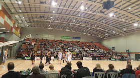 Pettigrew Green Arena