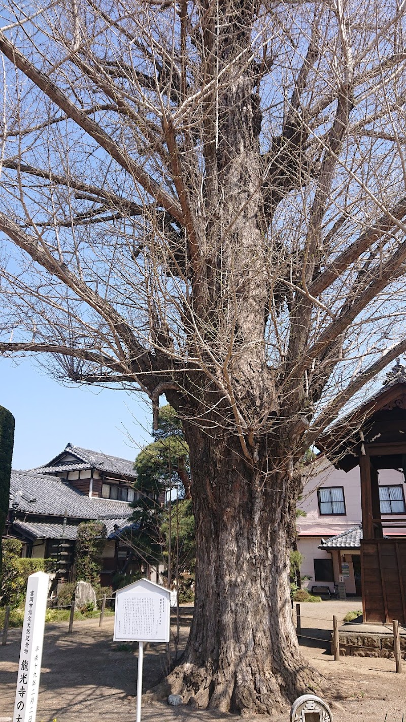 龍光寺