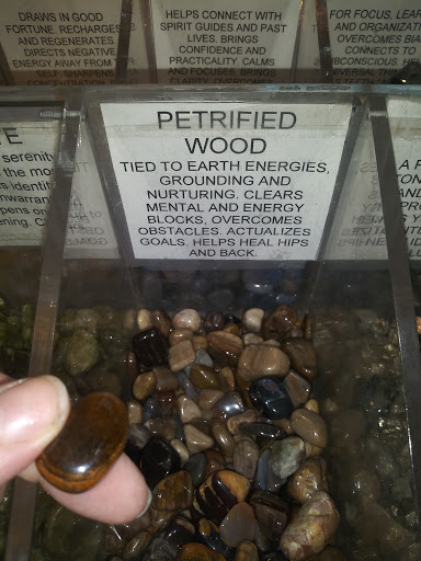 Book Store «Pyramid Books», reviews and photos, 214 Derby St, Salem, MA 01970, USA