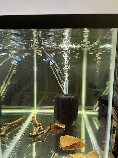 Pet Supply Store «Wet Spot Tropical Fish», reviews and photos, 4310 NE Hancock St, Portland, OR 97213, USA